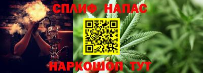 сатива Волжский