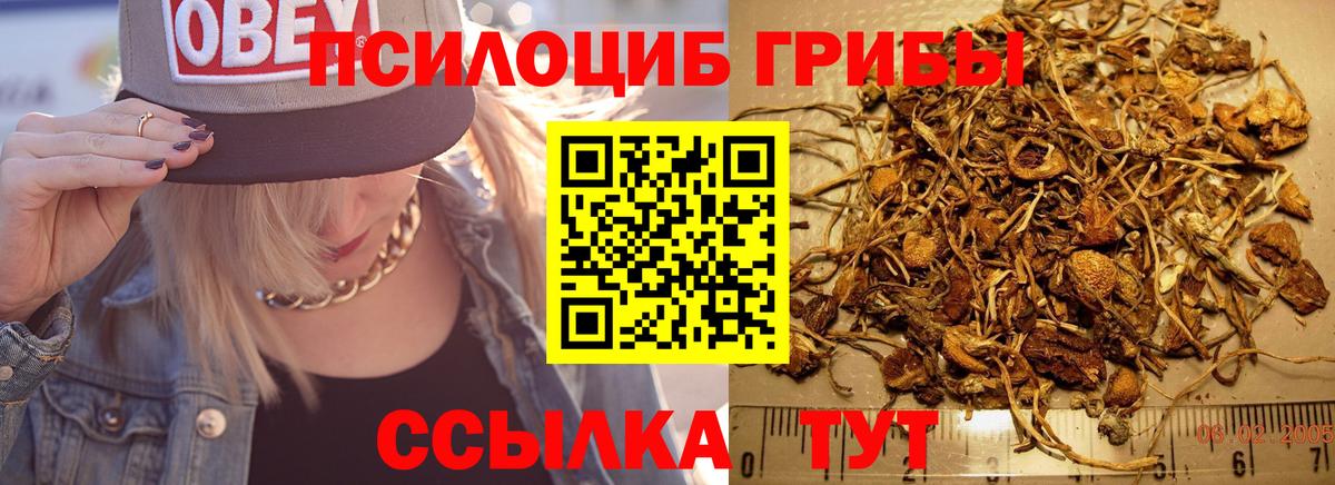 Псилоцибиновые грибы MAGIC MUSHROOMS  где купить наркоту  Галлюциногенные грибы ЛСД  Бор  Вход с VPN 