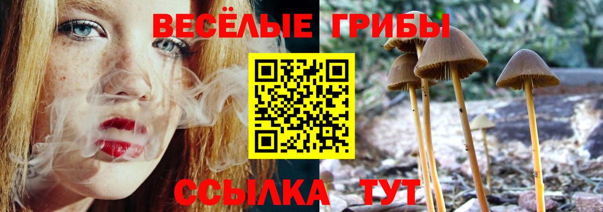 Псилоцибиновые грибы MAGIC MUSHROOMS Бор